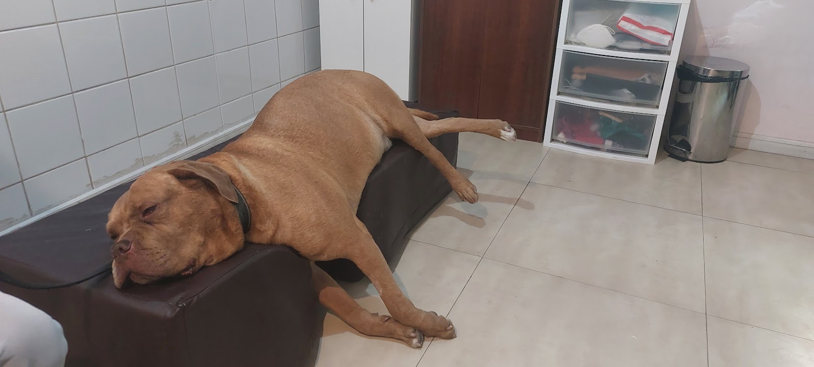 Paciente descansando en la camilla de CardioImagen durante su evaluación