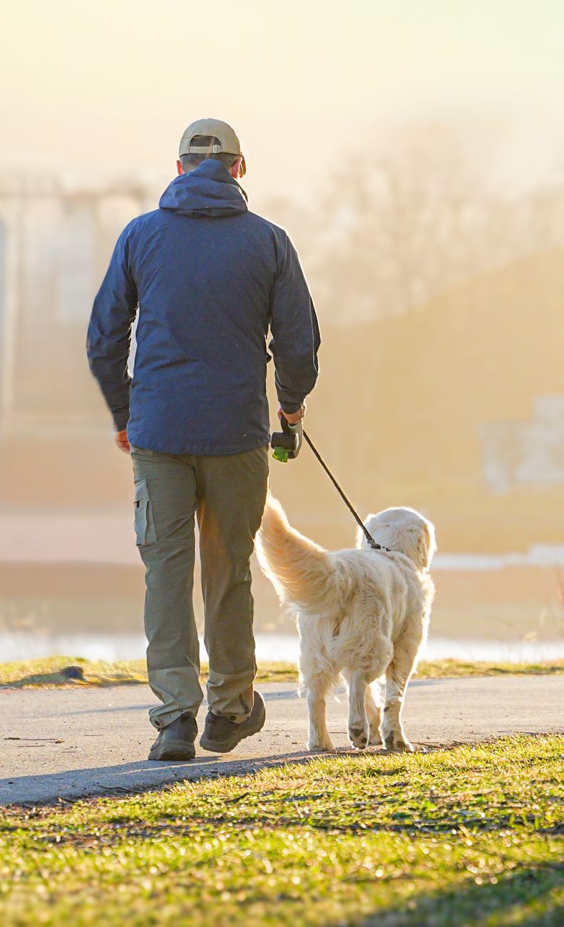 Persona paseando a su perro por un parque a primera hora de la mañana